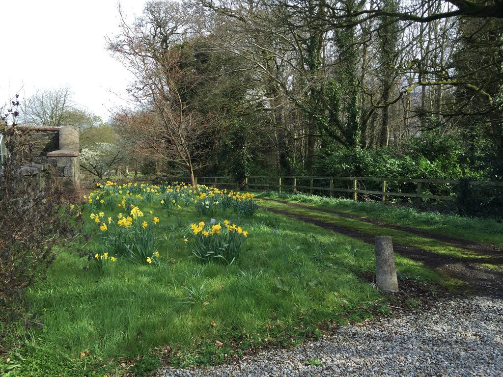 Townley Hall Apartments Slane Oda fotoğraf